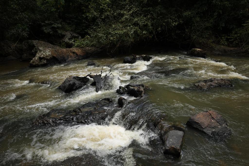 Кушалнагар: Avadale Coorg Stag - Groups Not Allowed