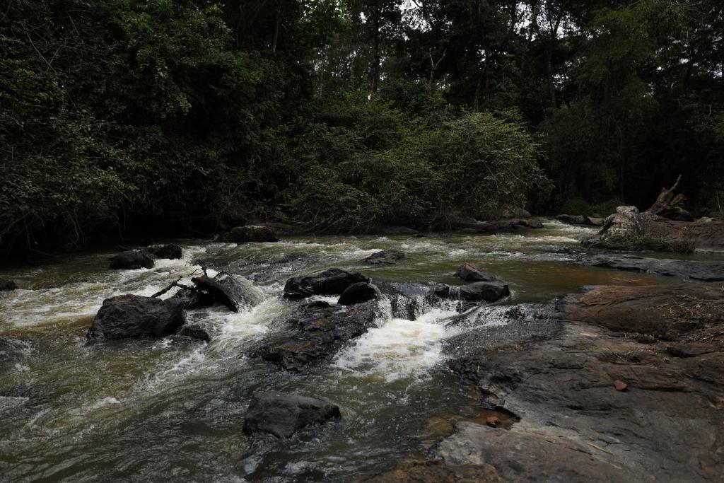 Кушалнагар: Avadale Coorg Stag - Groups Not Allowed