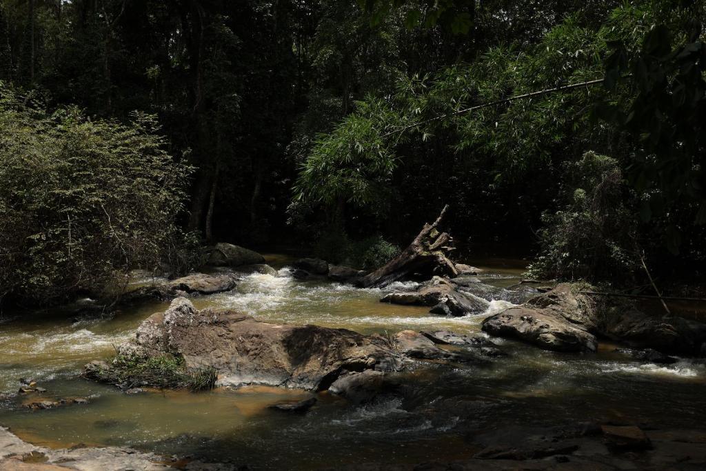 Кушалнагар: Avadale Coorg Stag - Groups Not Allowed