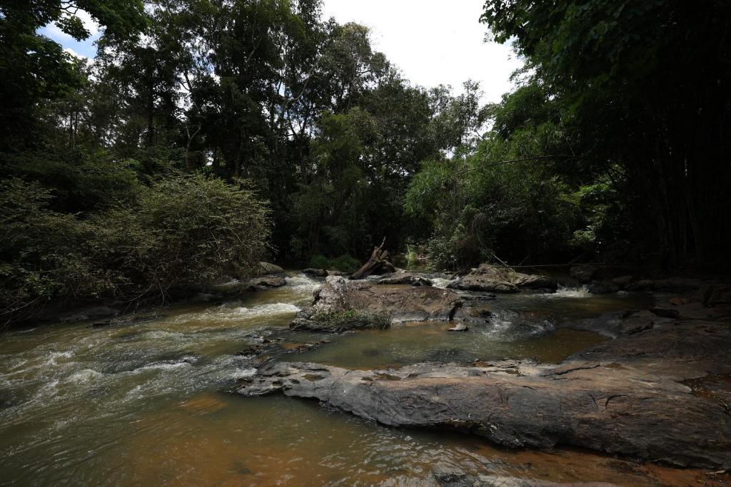 Кушалнагар: Avadale Coorg Stag - Groups Not Allowed