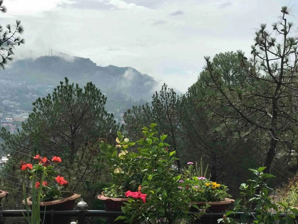 Солан: Cozy Solan Apartment With Stunning Views
