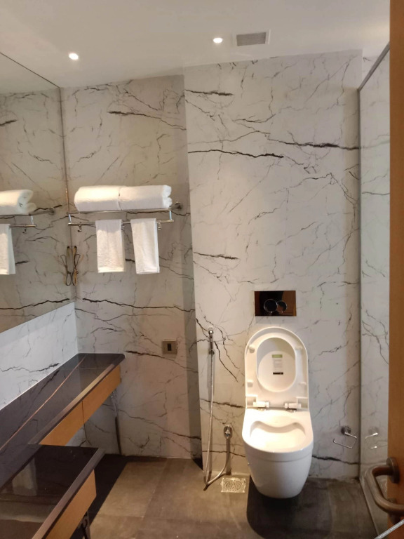 Алипур: Sarovar Portico Sonipat