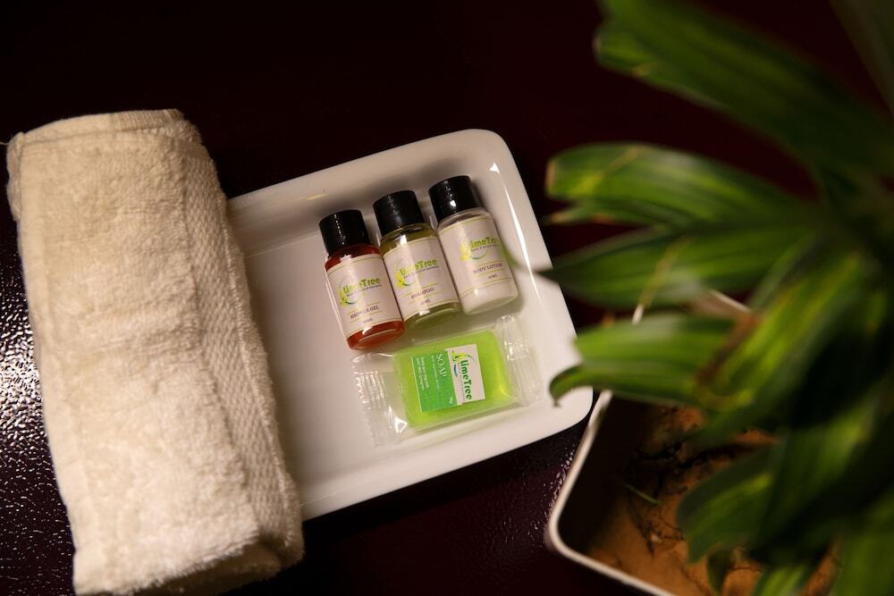 Гуруграм: Lime Tree Luxury Studio