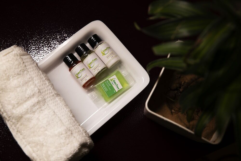 Гуруграм: Lime Tree Luxury Studio