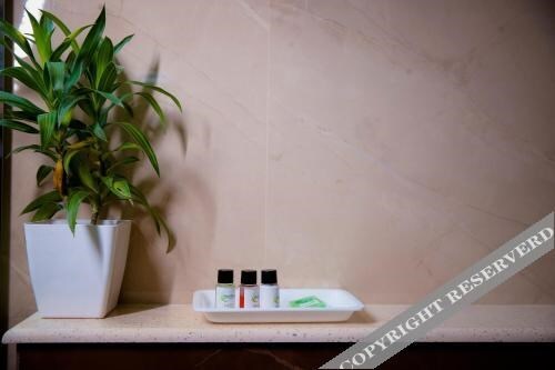 Гуруграм: Lime Tree Luxury Studio