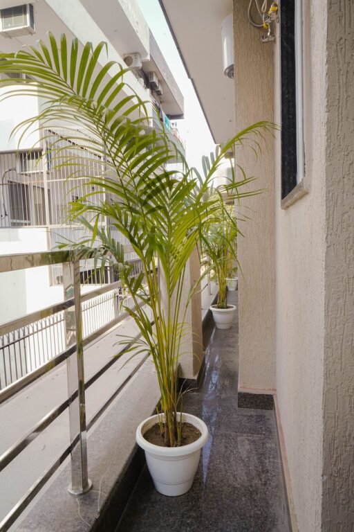 Гуруграм: Lime Tree 2 Bhk Apartment Golf Course