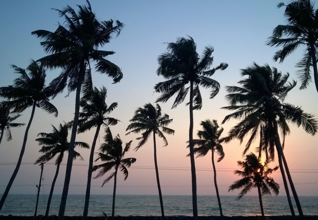 Коччи: Cherai Beach Palace