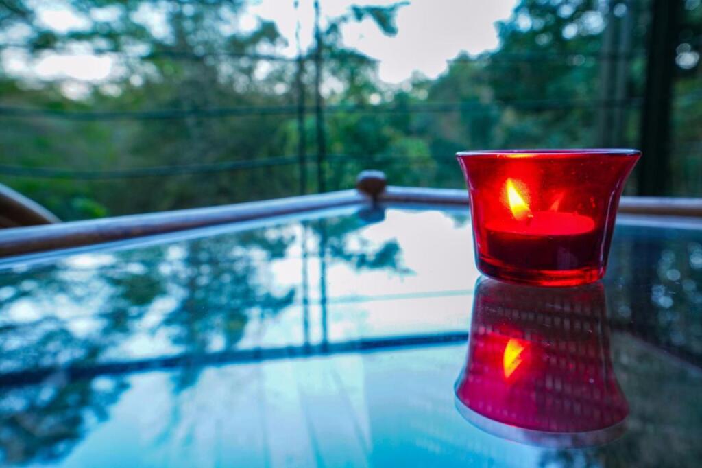 Султан-Батери: Kuruva Island Resort And Spa - By KABINI BREEZE, Wayanad
