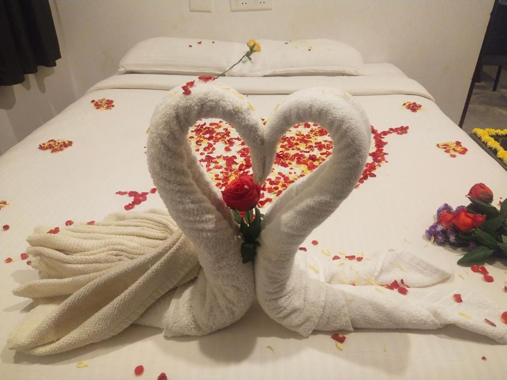 Калапет: Paradisestay Auro Jungle Resort