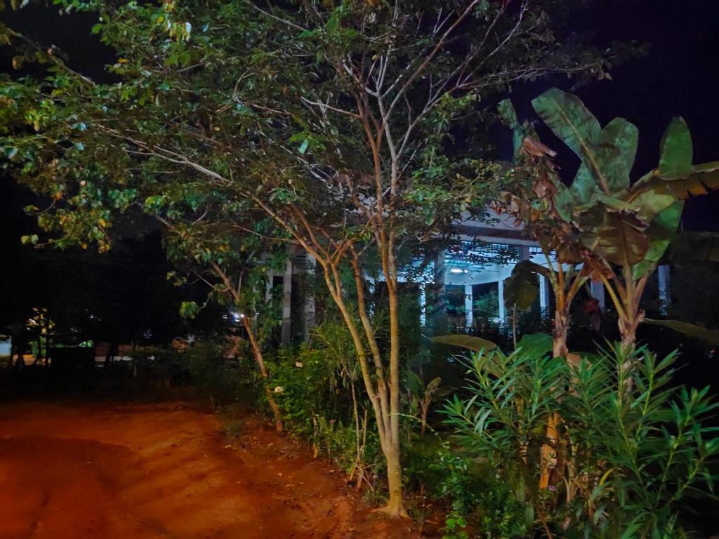 Калапет: Paradisestay Auro Jungle Resort