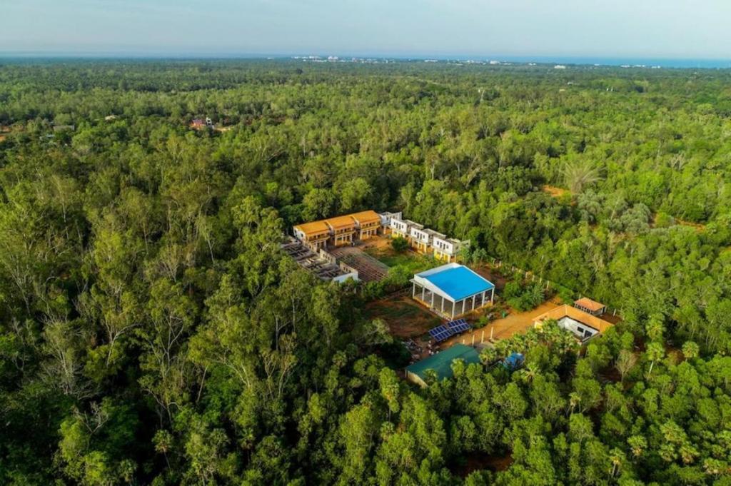Калапет: Paradisestay Auro Jungle Resort