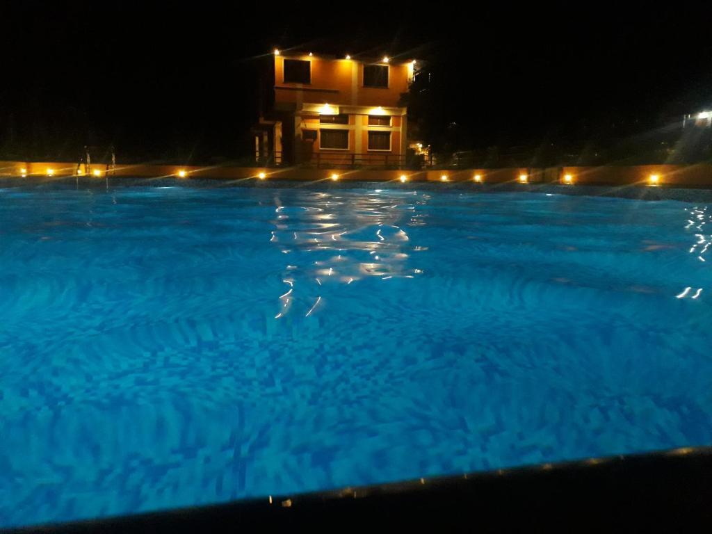 Калапет: Paradisestay Auro Jungle Resort