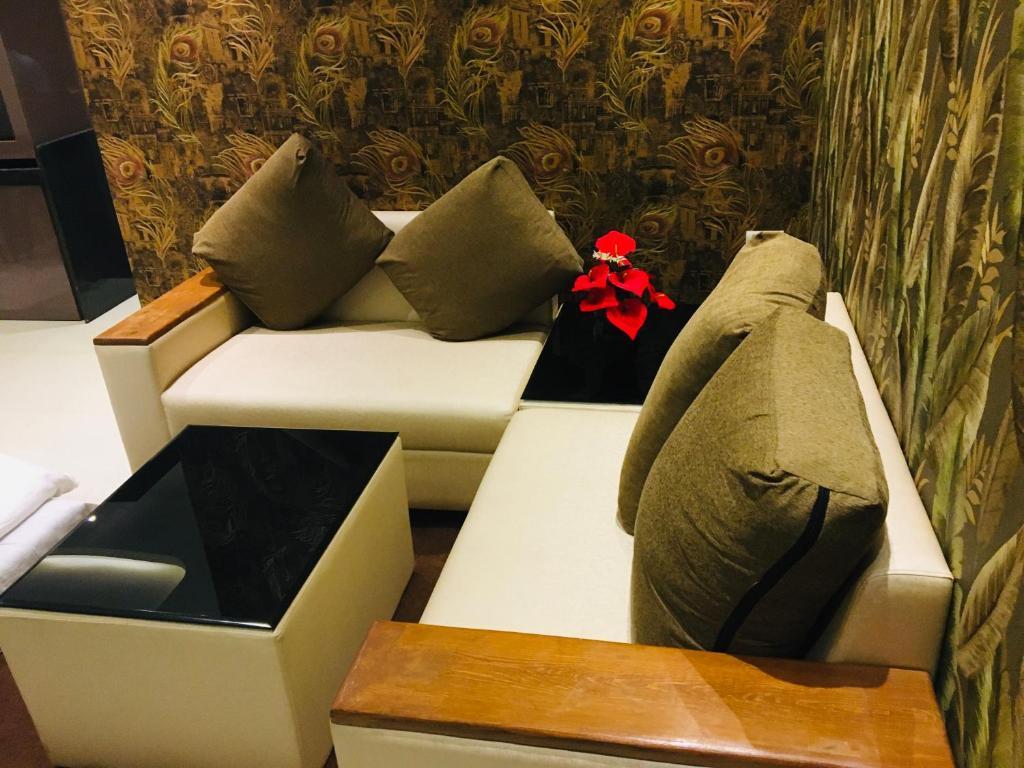 Анджуна: kesinovo suites