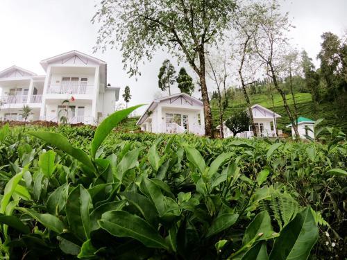 Пеллинг: The Temi Bungalow South Sikkim
