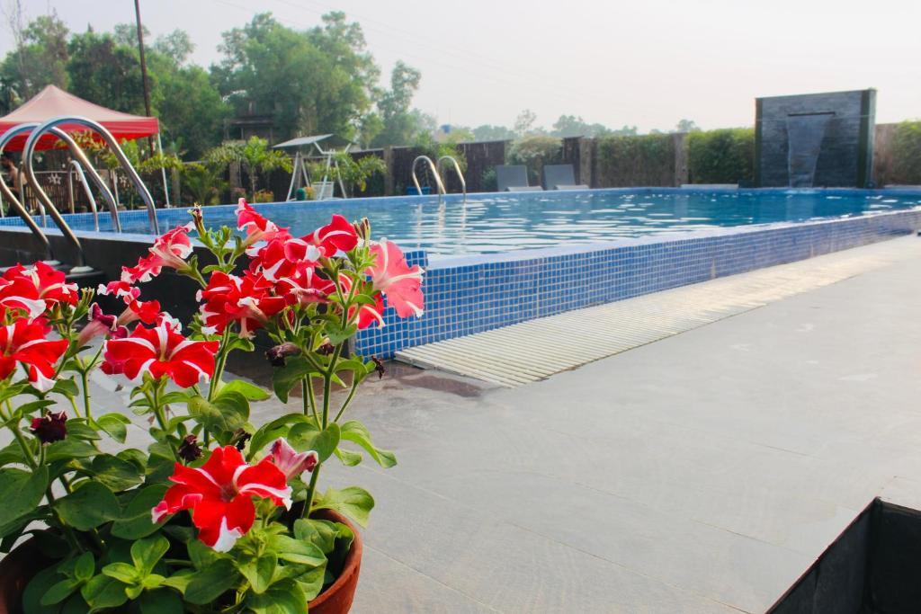 Болпур: The Cristallo Resort