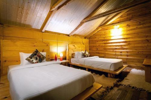 Куфри: Suro Treehouse Resort