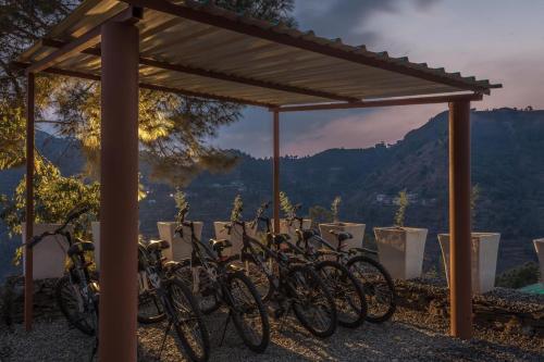 Куфри: Suro Treehouse Resort