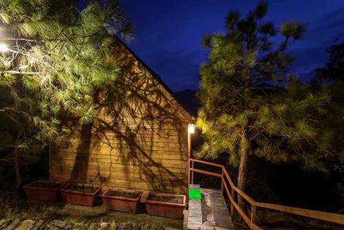 Куфри: Suro Treehouse Resort