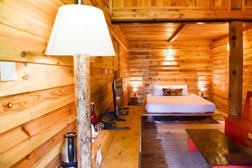 Куфри: Suro Treehouse Resort