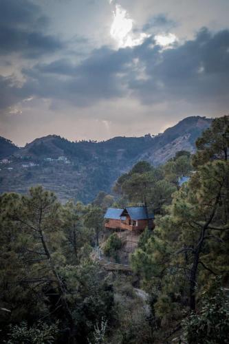 Куфри: Suro Treehouse Resort