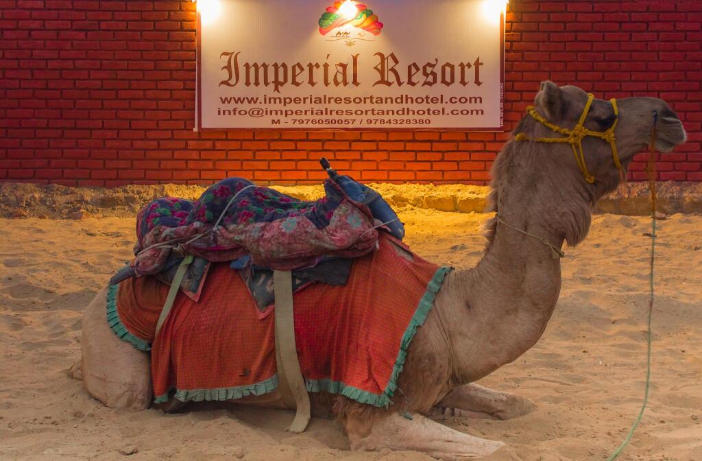Государственный заповедник Desert National Park: Imperial Resort