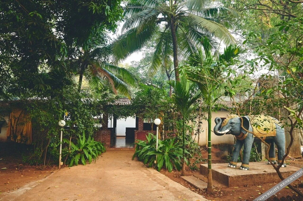 Пляж Мандва: Natures Nest Resort