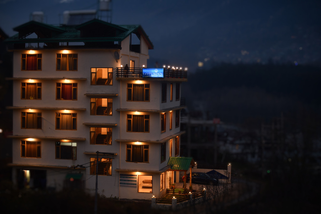 Манали: Lotus Inn Rohtang View
