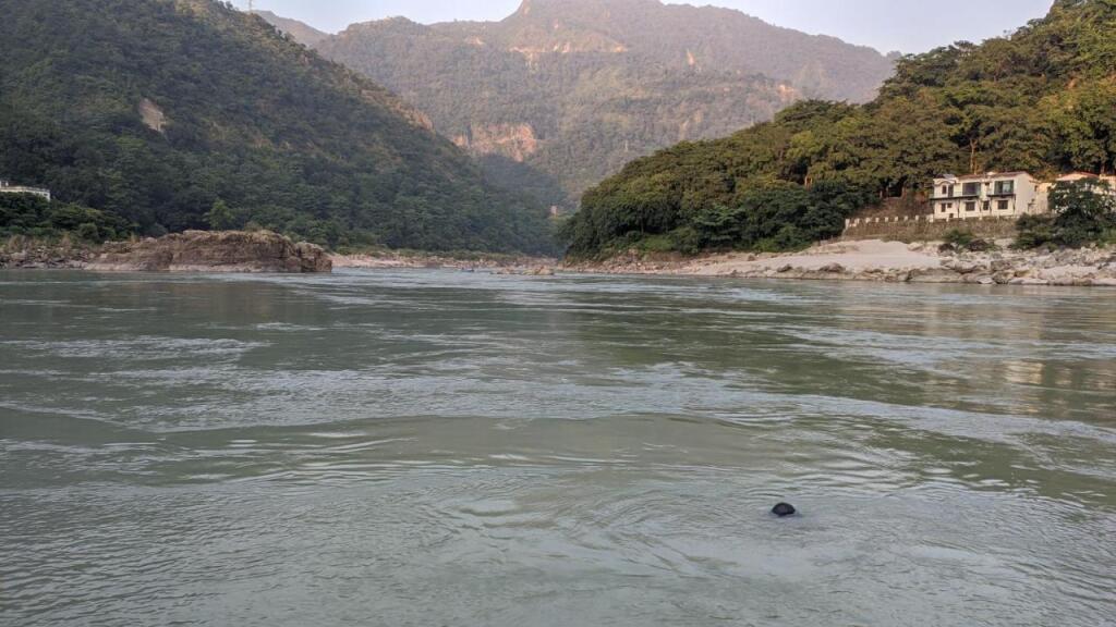 Ришикеш: H7 Stay On The Ganges, Yoga & Spa Resort, Rishikesh