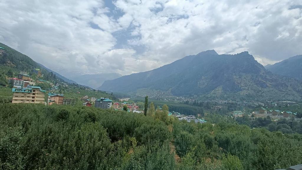 Манали: Cottage Palzey Manali