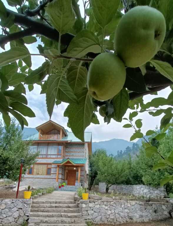 Манали: Cottage Palzey Manali