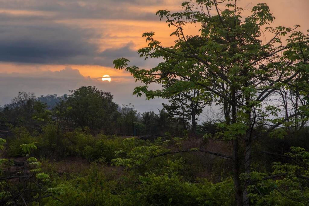 Амби Вэлли Сити: SaffronStays Midori, Kolad - private pool villa near river rafting camp