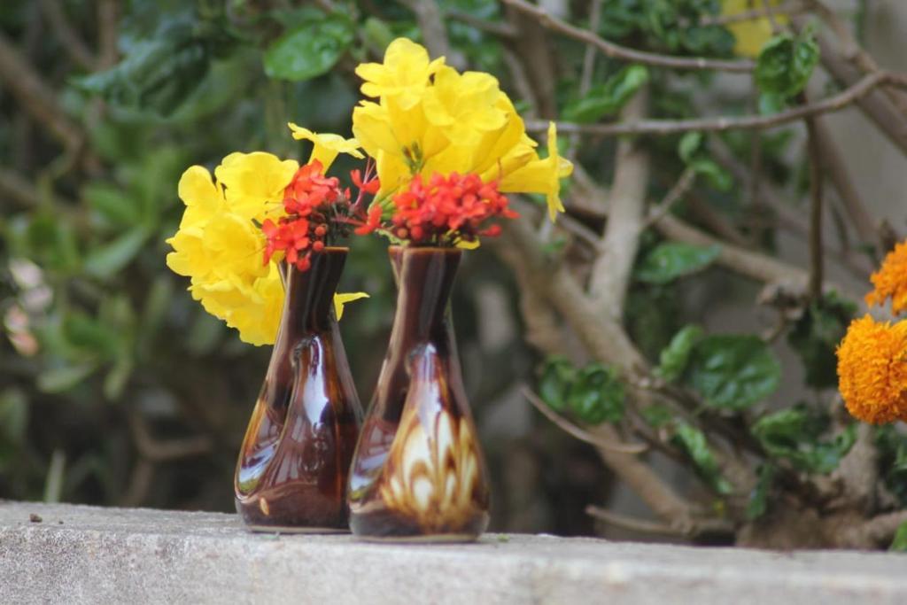 Кушалнагар: The Bat N Ball Homestay - The Rovis Estate by Uthappa, Suntikoppa ,Coorg