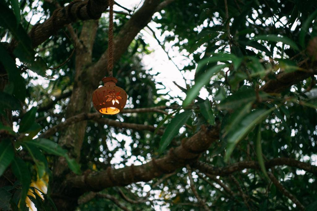 Payyanur: Poothali Homestay