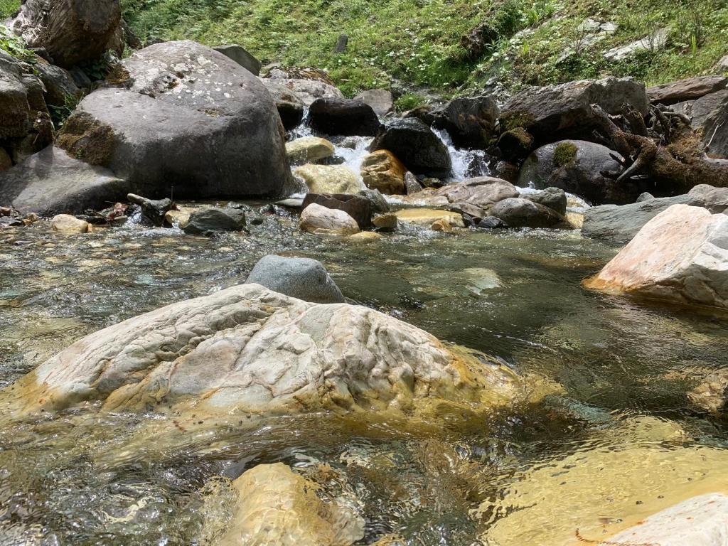 Банджар: Dreamland Home Stay (Jalori Pass)