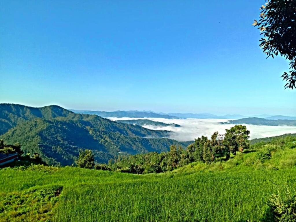 Альмора: JMT Eco-Binsar by StayApart