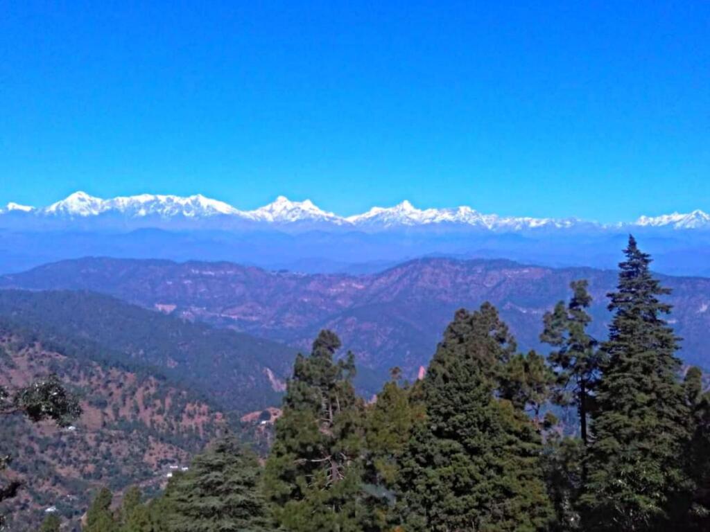 Альмора: JMT Eco-Binsar by StayApart