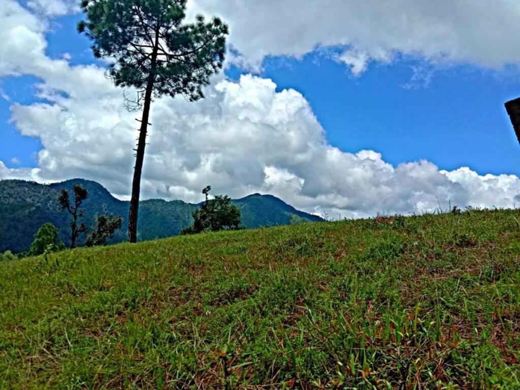 Альмора: JMT Eco-Binsar by StayApart
