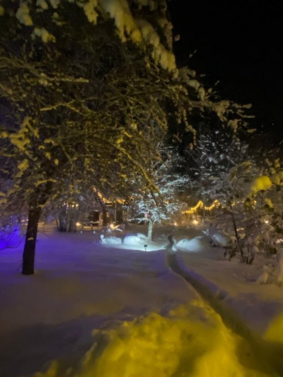Васильево: Меблированные комнаты Моя Дача