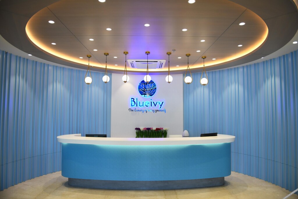 Ананд: Hotel Blueivy