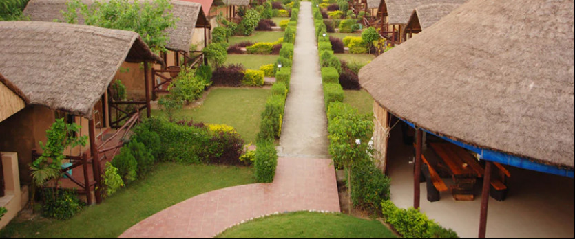 Алипур: The Corbett View Resort