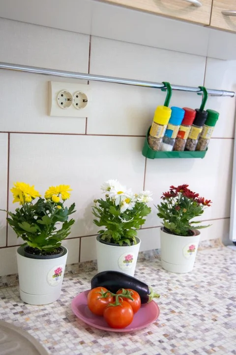 Гурьевск: Апартаменты LovelyHome39 Краковский 4