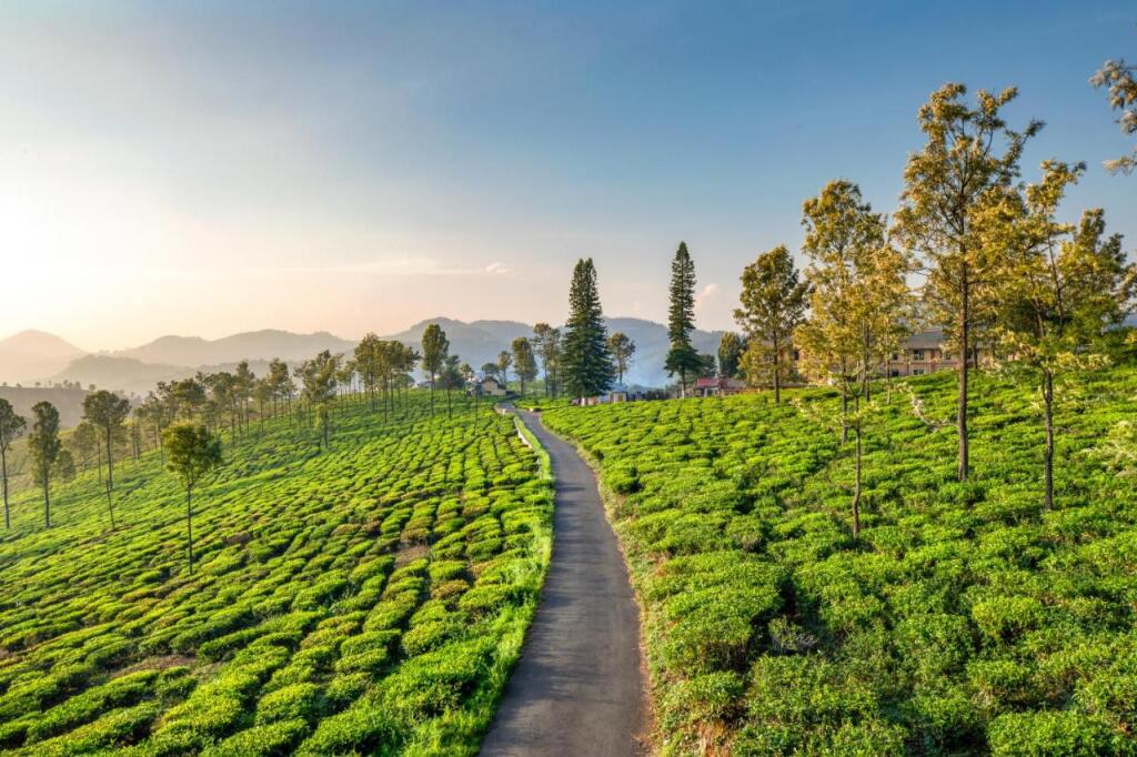 Кунур: Saffronstays Coonoor Aurora Estate