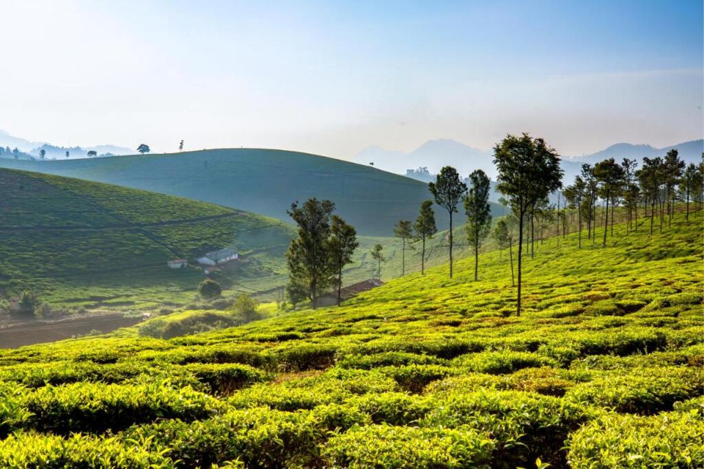 Кунур: Saffronstays Coonoor Aurora Estate