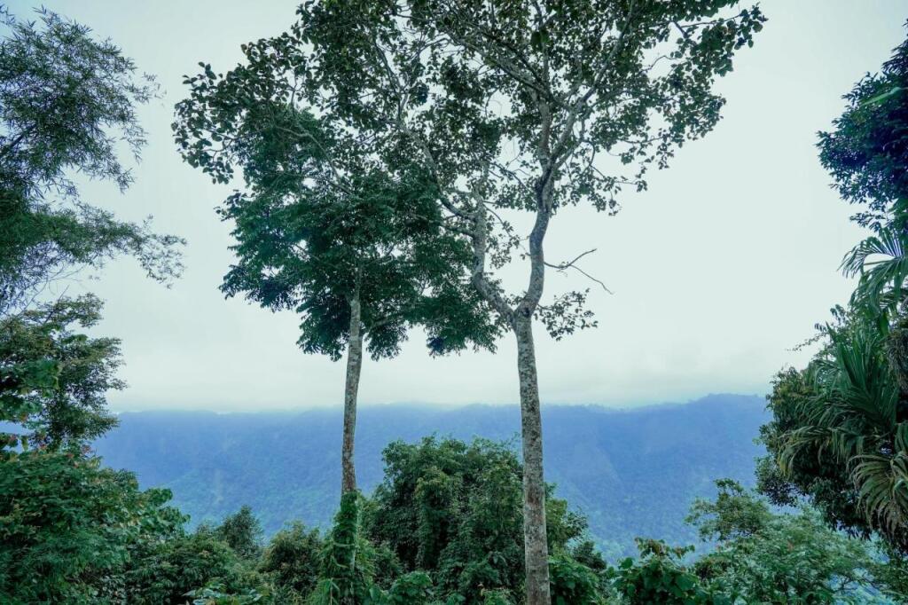 Султан-Батери: Saffronstays Cliff Haven, Wayanad
