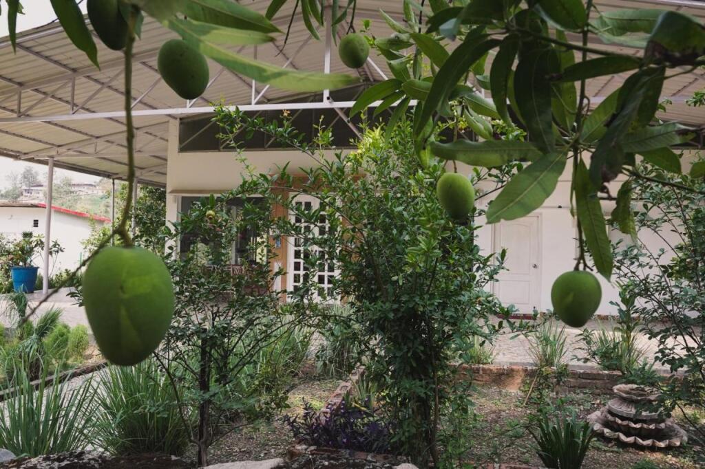 Массури: Saffronstays Doon Valley View, Dehradun