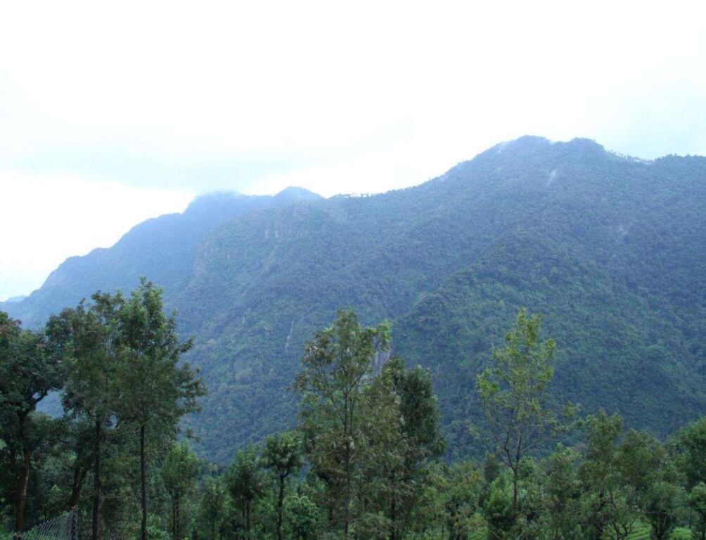 Кунур: Coonoor Mountain Cottages by Lexstays