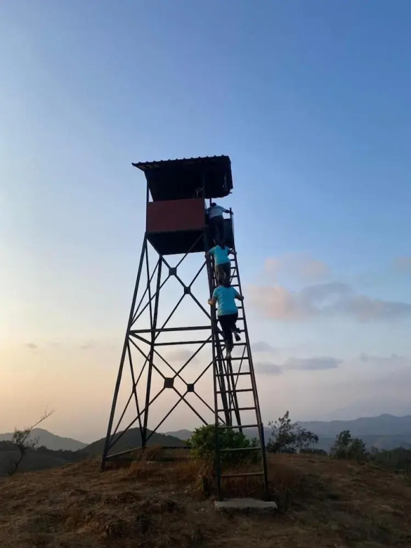 Кушалнагар: Coorg Tree House