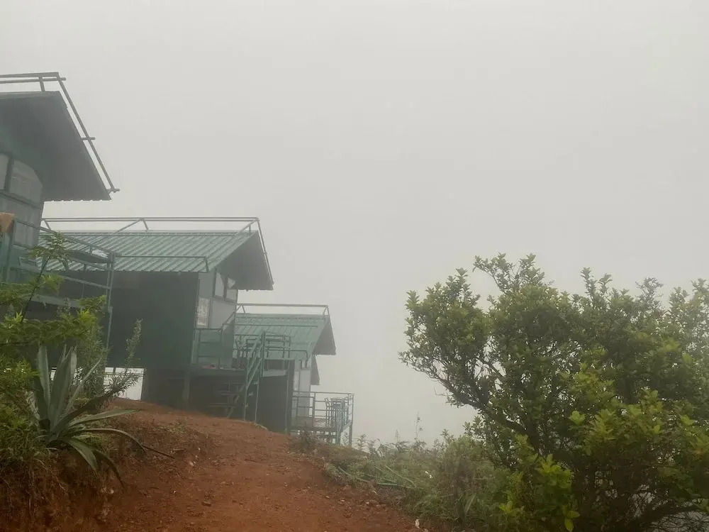 Кушалнагар: Coorg Tree House