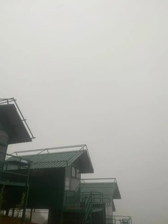 Кушалнагар: Coorg Tree House