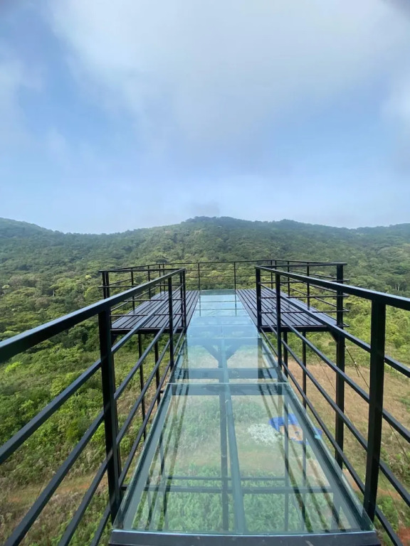 Кушалнагар: Coorg Tree House